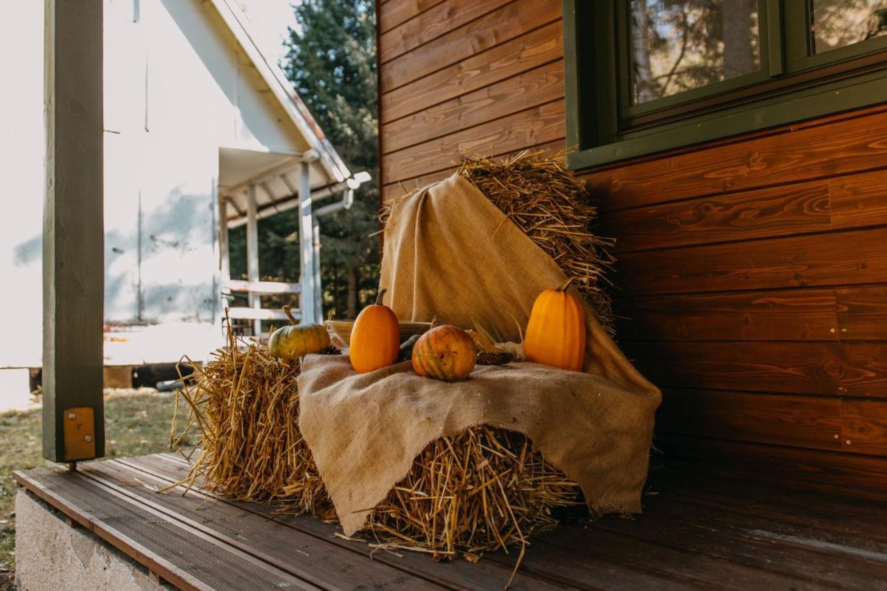 Tusnad Camping BaileTusnad Luaran gambar